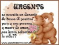 /album/fotogaleria-inicio/a291914306-3037c68ce3-1-jpg/